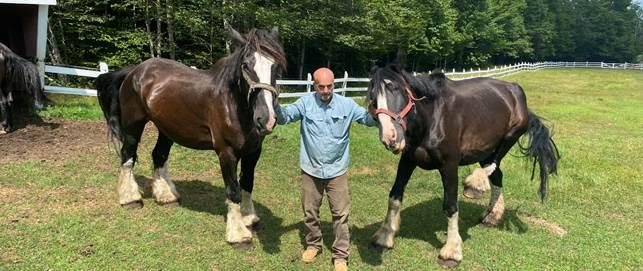 Man holding two horses